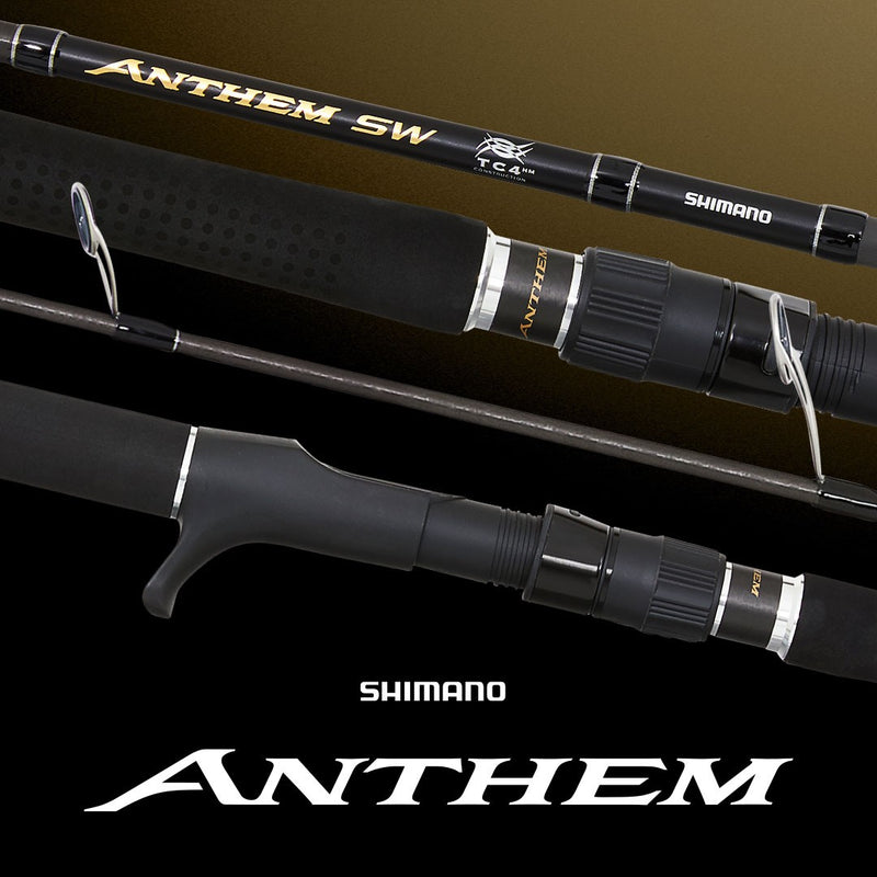 SHIMANO ANTHEM SW 8' 2p STICKBAIT PE 5